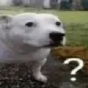 quog