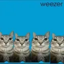 weezer