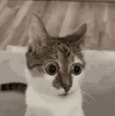 worried