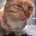 sideeye