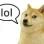lol lol