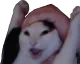 wahoo