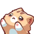 CatHugMe