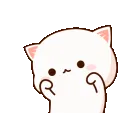 cute_cat