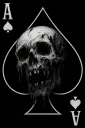 Spade_Hoc