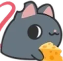 kaas