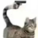 kittygun