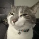 iknowwhatyouare