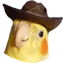CowboyCockatiel