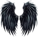 wings
