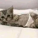 sexy