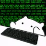 hackerman