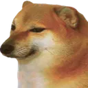 sadcheems