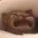 crycat