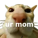 DGcatUrMom