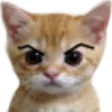 ar_Cat_Grumpy