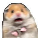 k_scared