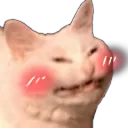 k_blush
