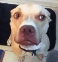 k_nope