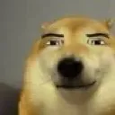 DogSmirk