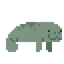 Manatee