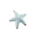 bluestarfish