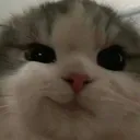 smirkcat