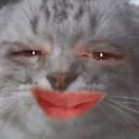 ehcat
