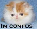 confus