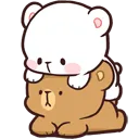 zwmmcuddle