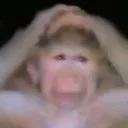 zncr_awhellnaw