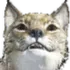 happyCat