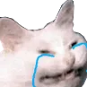 cattocry