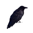 :5d5b5ca8a711ad2a7c822f569c482de4: