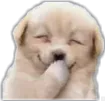DFG_hehe
