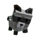 raccon