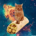 burritokitty