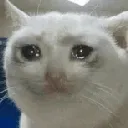 sadkitty