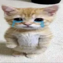 crykitty