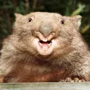 womsmile