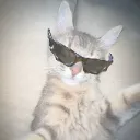 rizzcat