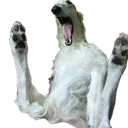 W_