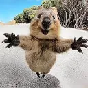 hug