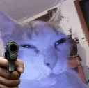 Gun