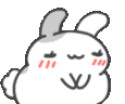 gracias_fn Discord emoji