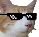 catSwag Discord emoji