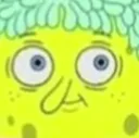 spong