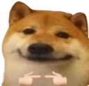 dogeshy Discord emoji