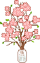 cherryblossom49