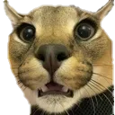 floppa_scared_suprised_shocked